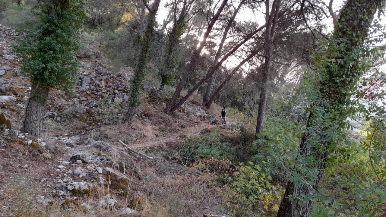 Casa Los Garcia Rute Eksteriør bilde